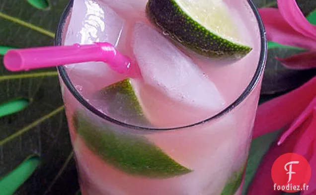 Île Tropicale Rose Chatouillée