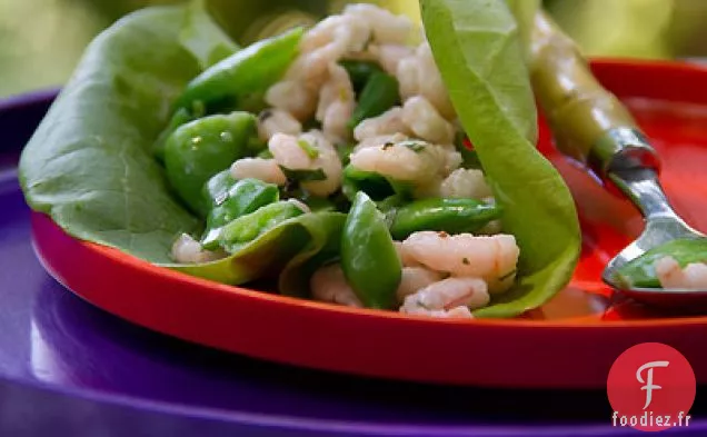 Enveloppements de Crevettes de la Baie et de Salade de Pois Cassants au Sucre