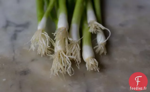 Quinoa Aux Groseilles, Aneth Et Courgettes