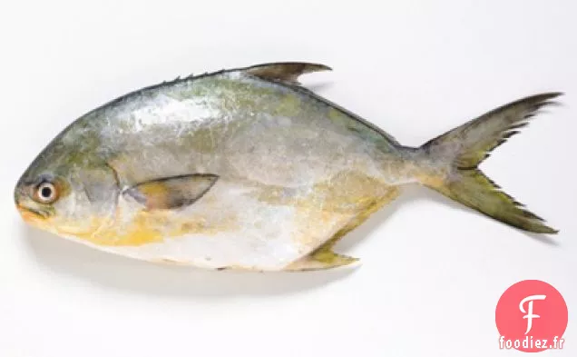 Pompano Rôti avec Salsa Avacado à l'Orange Sanguine, Beurre de Coriandre et Plantains Épicés