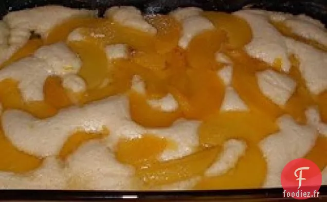 Cordonnier de Pêche Paresseux