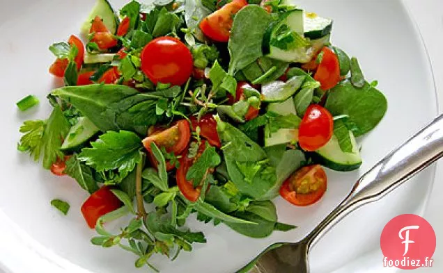 Salade Épicée de Pourpier, Tomate, Concombre, Menthe et Persil