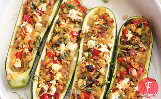 Courgettes Farcies un conte de Coloscopie