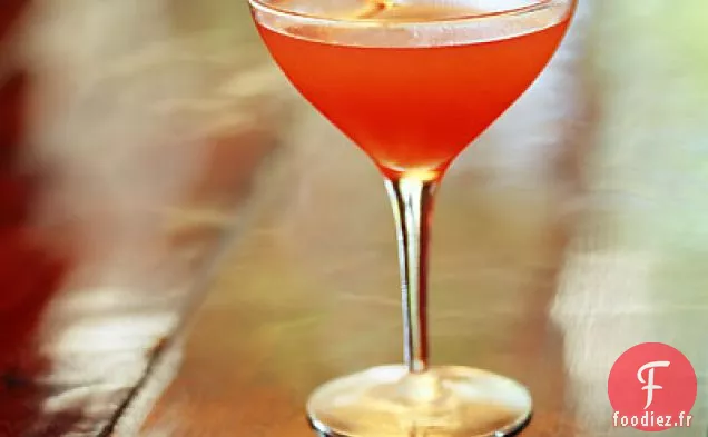 Sloe Kitty Un Cocktail au Clair de Lune