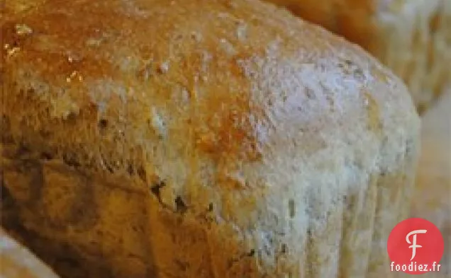 Pain de Compote de Pommes à l'Avoine