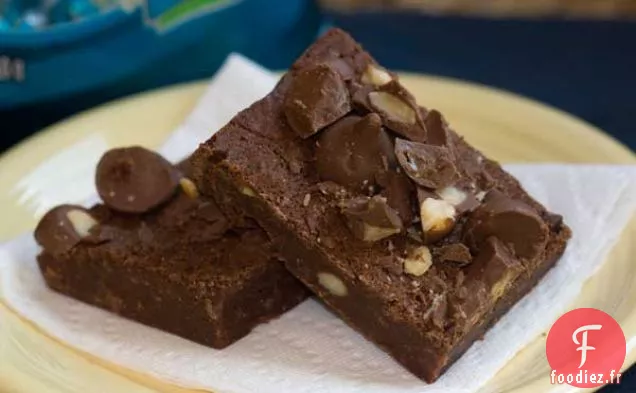 Brownies au Chocolat au Lait Et Noix de Macadamia