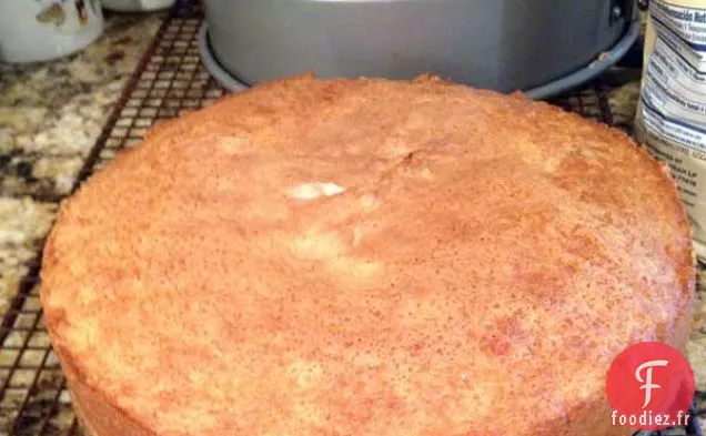 Gâteau Éponge au Lait Chaud de Bev et Tarte à la Crème de Boston