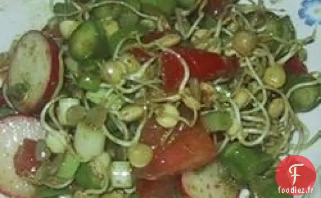 Salade de Lentilles Germées