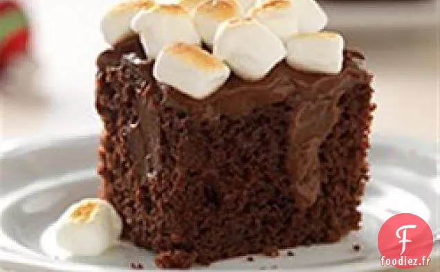 Gâteau au Pudding au Chocolat et À la Guimauve Grillé