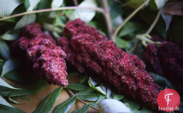 Enchiladas au Poulet Vert