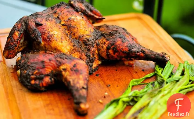 Grillades: Poulet Mexicain aux Oignons Verts