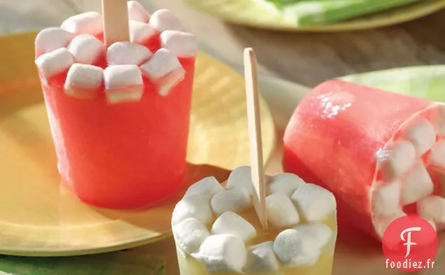 Pop de Guimauve Fruitée