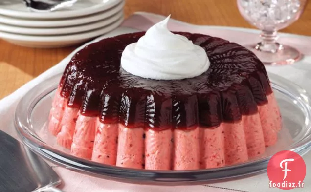Moule à Mousse de Canneberge En Couches