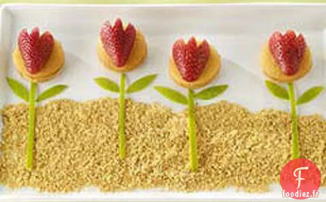 Fleurs de Biscuits de Printemps