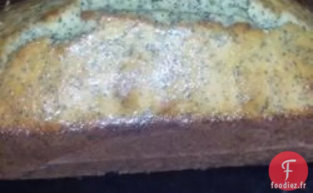 Délicieux Gâteau Aux Graines De Pavot Humides