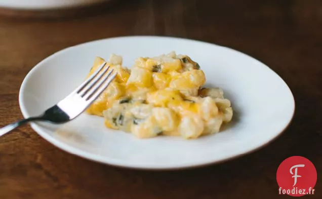 Cuisson Facile au Gratin de Pommes de Terre