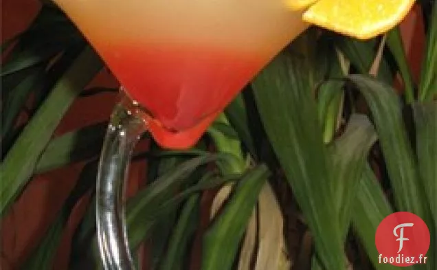 Maillot de Bain Martini