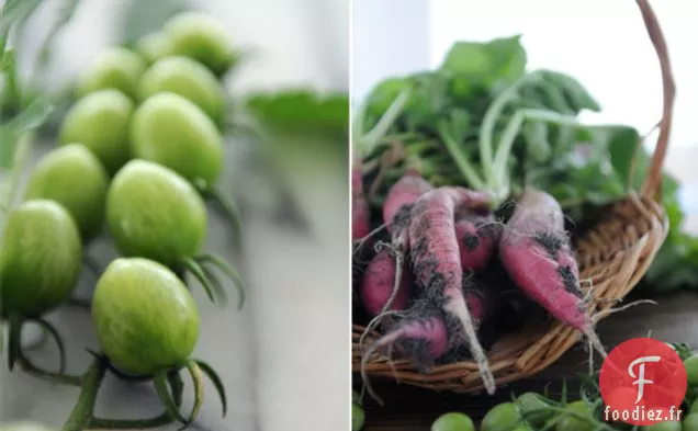 La Première Salsa de la Saison : Radis & Tomate Verte