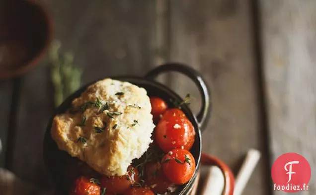 Cordonnier de Tomates