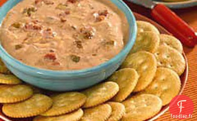 Tartinade de Salsa au Fromage Chaud