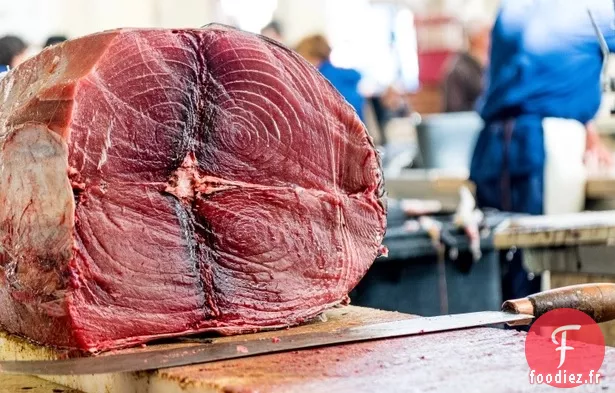 Thon Albacore au Wasabi