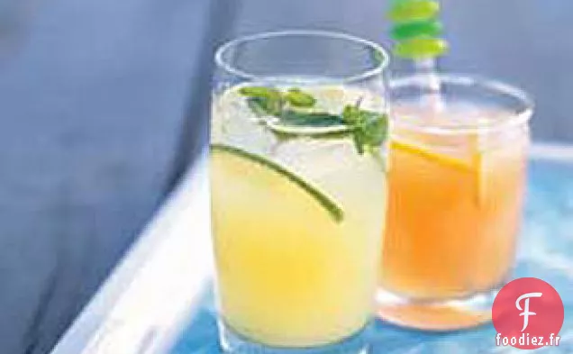 Refroidisseur de Fruits Mousseux