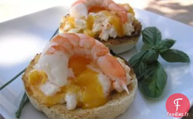 Trempette aux Crevettes III