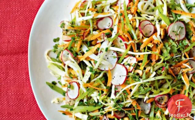 Salade de Chou d'Été