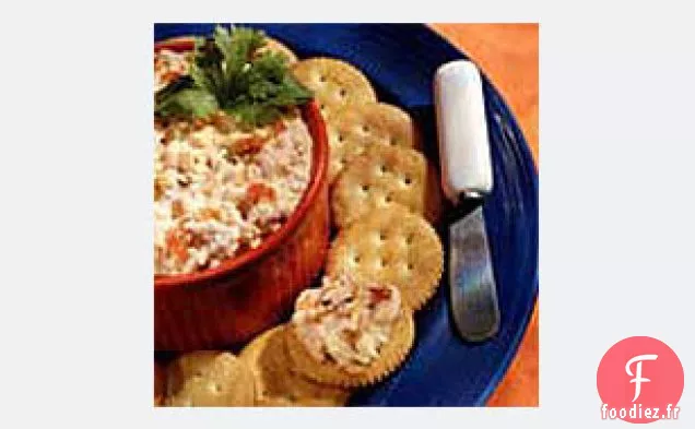 Tartinade au Fromage Salsa