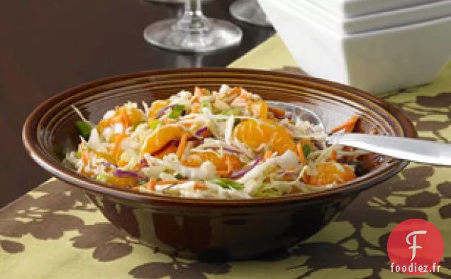 Salade de Chou Asiatique Simple