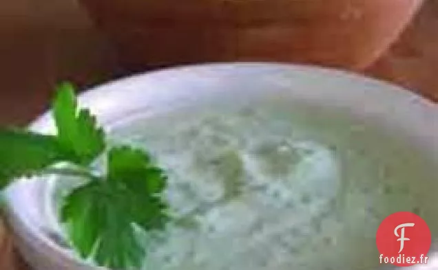 Sauce à la Crème Serrano à la Coriandre