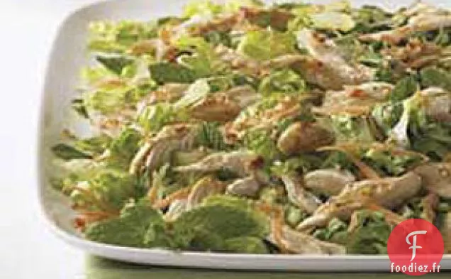 Salade de Poulet Fraîche et Tendre