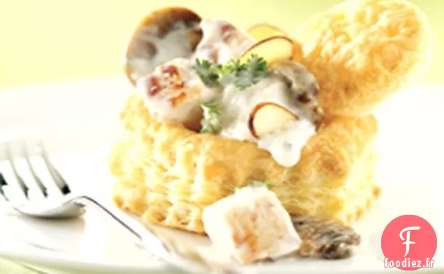 Poulet Crémeux sur Des Coquilles de Pâte