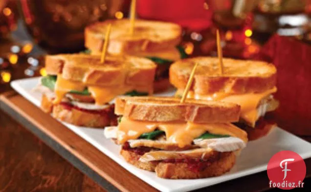 Mini Dinde Fondue aux Canneberges