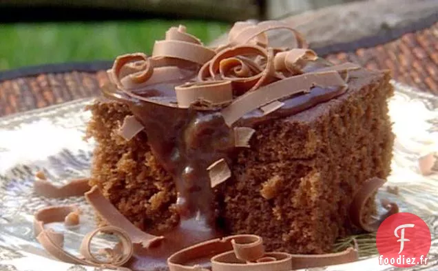 Gâteau au Chocolat Savannah avec Sauce Fudge Chaude