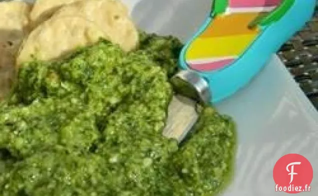 Pesto de Jalapeno à la Coriandre et au Citron vert