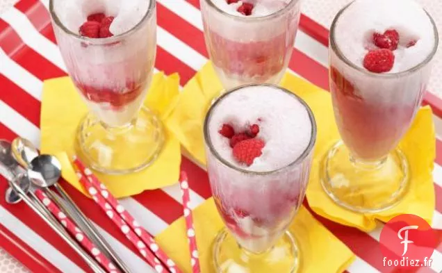 Sodas à la Crème Glacée aux Framboises