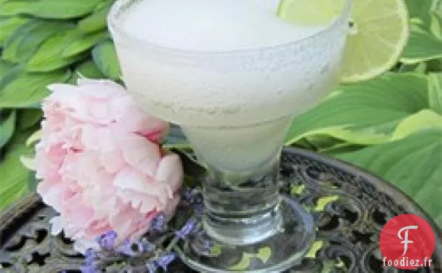 Daiquiri Classique