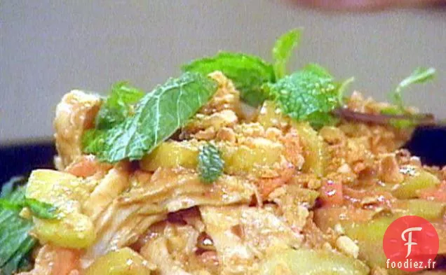 Salade de Poulet Asiatique aux Nouilles Cellophane