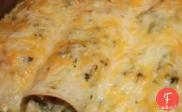 Poblano Chile Enchiladas à la Gringa