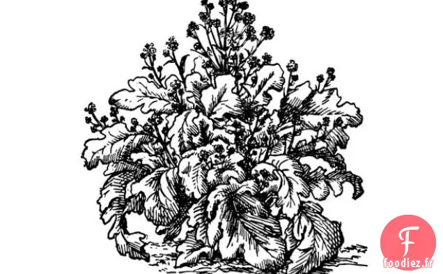 Salade Craisine au Brocoli Croquante Et Sucrée