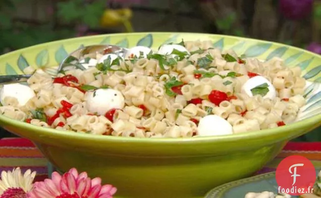 Salade de Pâtes aux Poivrons Rouges Rôtis et Basilic avec Vinaigrette Balsamique Blanche