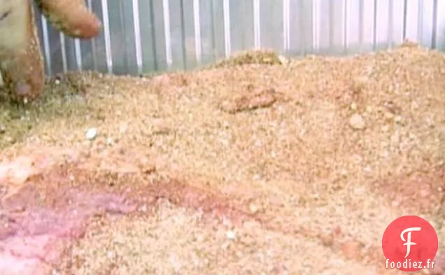 Frottez la Poitrine de Bœuf de Huey