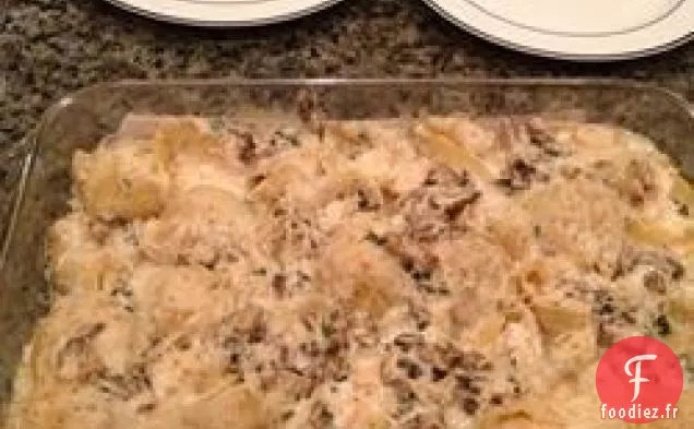 Coquillages de Kevin