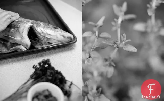 Aiglefin Grillé Farci Au Citron Et Aux Herbes