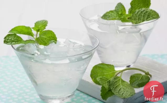 Vodka Mojito