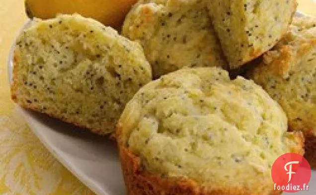 Muffins aux Graines de Pavot au Citron Babs