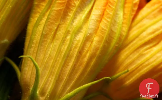 Frittata aux Fleurs de Courgettes