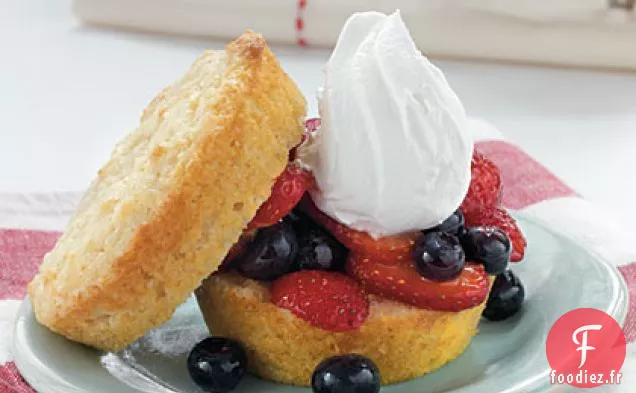 Gâteaux Éponge à la Vanille Fourrés aux Baies Fraîches