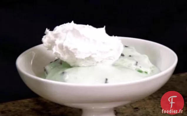 Crème Glacée aux Pépites de Chocolat à la Menthe